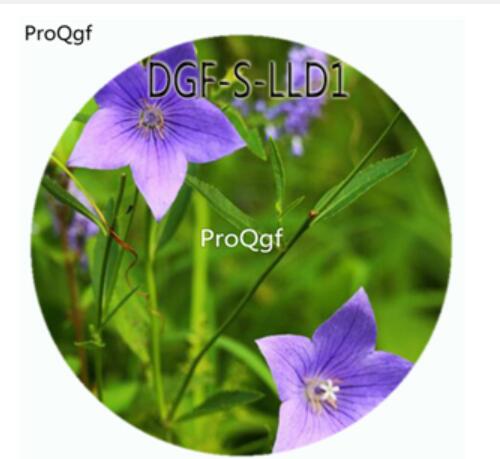 19usd Ngryise 100Pcs A Set Blue Color Quamoclit Pennata Flower Hot Seed DGF-S-LLD1