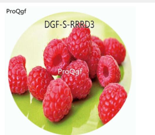 19usd Ngryise 3000Pcs A Set Dark Red Color Raspberry Fruit Hot Seed DGF-S-RRRD3