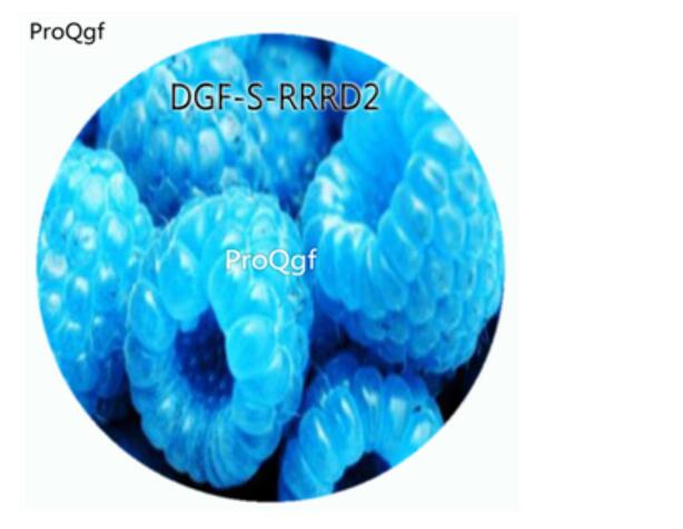 19usd Ngryise 3000Pcs A Set Blue Color Raspberry Fruit Hot Seed DGF-S-RRRD2