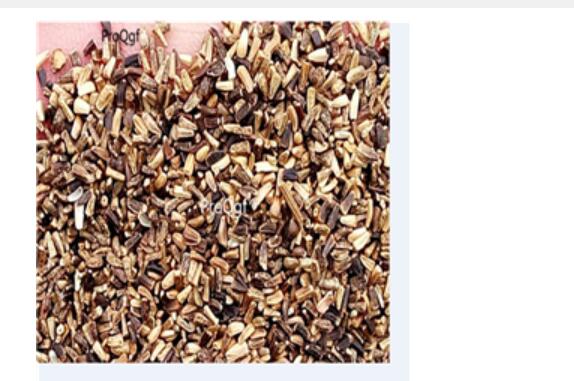 19usd ProQgf 5000Pcs A Set Cichorium Intybus seed