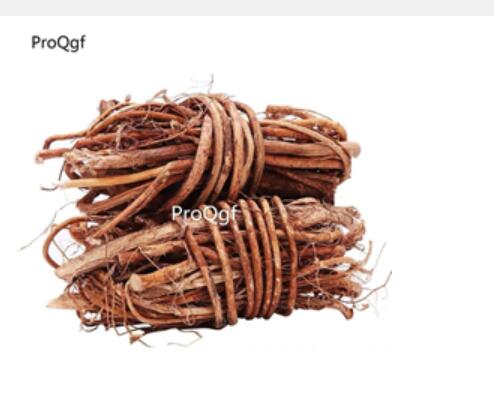 29usd Ngryise 300gram Ficus hirta