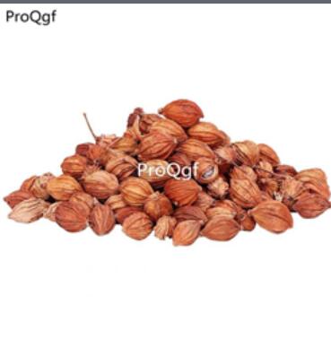 19usd Ngryise 300gram Amomum villosum
