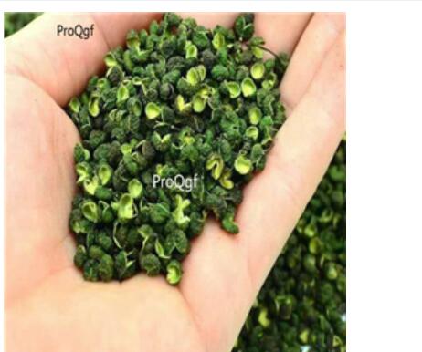19usd Ngryise 250gram sichuan dry green pepper huajiao
