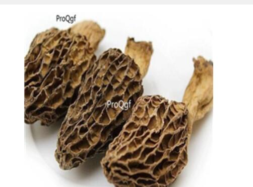 29usd Ngryise 100pcs Morchella esculenta seed