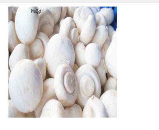 29usd Ngryise 100pcs Agaricus bisporus seed