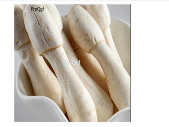 29usd Ngryise 100pcs   Copyinds comatus seed