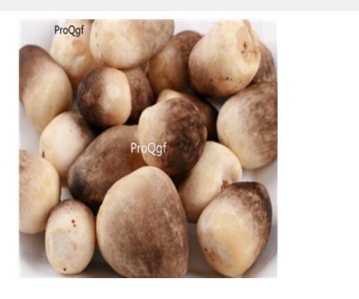 29usd Ngryise 100pcs Volvariella volvacea seed