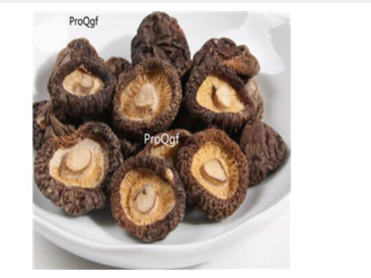 29usd Ngryise 100pcs  Lentinus edodes seed