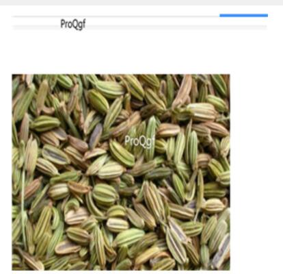 19usd Ngryise 8000Pcs A Set  fragrant fennel seed