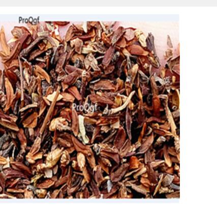 12usd Ngryise 3000Pcs A Set Hypericum perforatum seed
