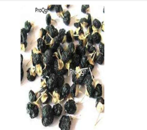 19usd black Ngryise 100Pcs A Set Lycium barbarum seed