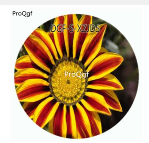 19usd Ngryise 100Pcs A Set Yellow Red Stripe Color Gazania Rigens Flower Hot Seed DGF-S-XZJD5