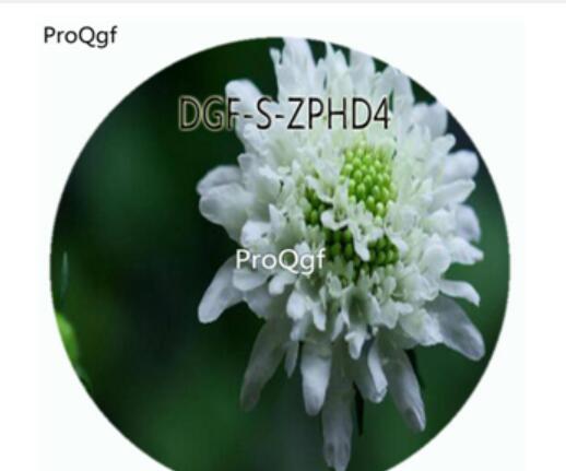 29usd Ngryise 100Pcs A Set White Color Scabiosa Atropurpurea Flower Hot Seed DGF-S-ZPHD4