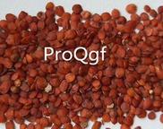 18usd 500pcs Hyoscyamus niger seed