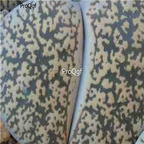 seed ngryise lesliei C341 Kimberley form 100pcs 18usd