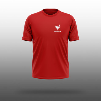 Boston House Phoenix Dri-fit T-shirt
