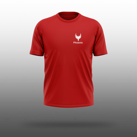 Boston House Phoenix Dri-fit T-shirt