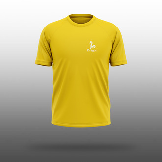 Boston House Dragon Dri-fit T-shirt