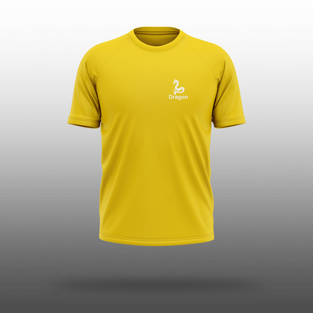 Boston House Dragon Dri-fit T-shirt