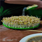 29usd Ngryise sprouted bean machine