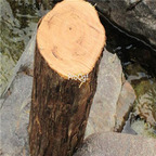 18usd ngryise 200pcs Dalbergia hupeana seed