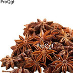 12usd ngryise 500gram organic star anise