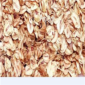 19usd Ngryise 6000pcs Metasequoia glyptostroboides seed