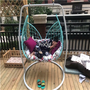 299usd Ngryise 1 set Minshuku hot fashion hanging chair