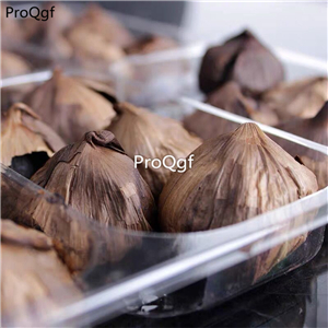 15usd Ngryise 30Pcs A Set black garlic seed