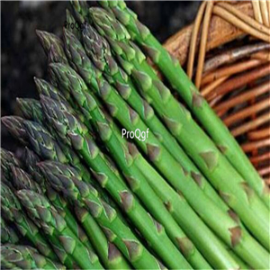 15usd Ngryise 5Pcs A Set Asparagus officinalis root