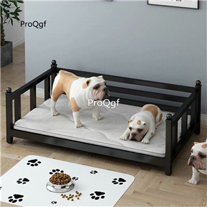 89usd Ngryise 1 Set ins rare dog animal use Minshuku Bed