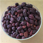 50usd Ngryise 10Pcs A Set Jojoba Jojoba seed