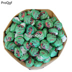 19usd Ngryise 30Pcs A Set lotus style Camellia sinensis assamica
