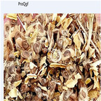 19usd Ngryise 2000Pcs A Set Hibiseu manihot seed
