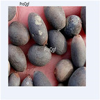 19usd Ngryise 100Pcs A Set blue lotus seed