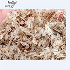 39usd Ngryise 80000Pcs A Set Paulownia fargesii Franch seed