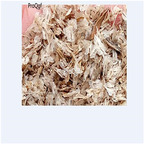 39usd Ngryise 80000Pcs A Set Paulownia australis Gong Tong seed