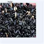 Ngryise 3000Pcs A Set Buxus sinica parvifolia seed