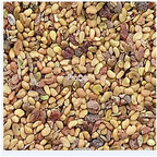 19.9usd Ngryise 6000Pcs A Set Liriope cymbidiomorpha seed