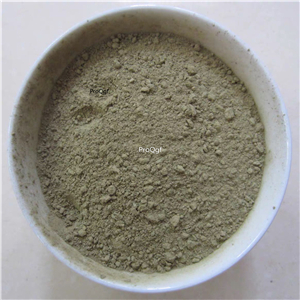 19usd Ngryise 200Gram A Set Echinacea purpurea powder