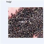 19usd Ngryise 6000Pcs A Set white sage salvia seed