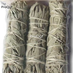 19usd Ngryise 3Pcs A Set white sage salvia