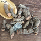 19usd Ngryise 100Gram A Set Kadsura coccinea