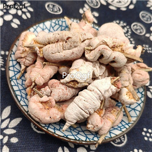 19usd Ngryise 100Gram A Set Stroma Shiraiae