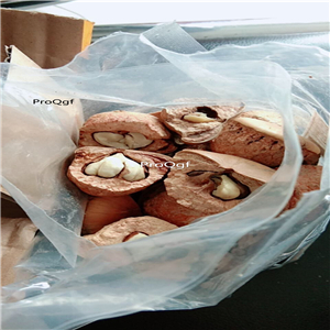 19.9usd Ngryise 100Gram A Set Lithocarpus pachylepis opened style
