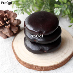 19usd Ngryise 10Pcs A Set Lithocarpus pachylepis  seed
