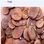 19.9usd Prodgf 500Pcs A Set Bauhinia acuminata seed