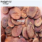 19.9usd Ngryise 500Pcs A Set Bauhinia tomentosa seed