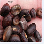 19.9usd Ngryise 300Pcs A Set Erythrina variegata seed