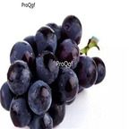 19usd Ngryise 3000Pcs A Set jufeng grape seed